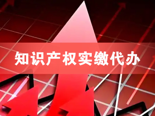 林州知识产权实缴资本代办
